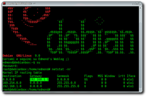 Come visualizzare default gateway da terminale in Linux